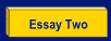 Essay Two