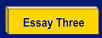 Essay Three