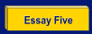Essay Five